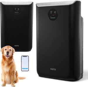 Air Purifier for Large Room –...