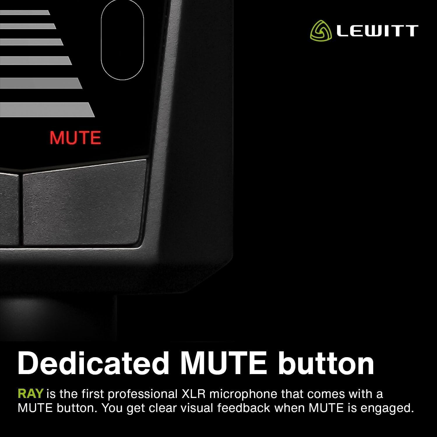 LEWITT RAY XLR Condenser Microphone With Auto - Image 4