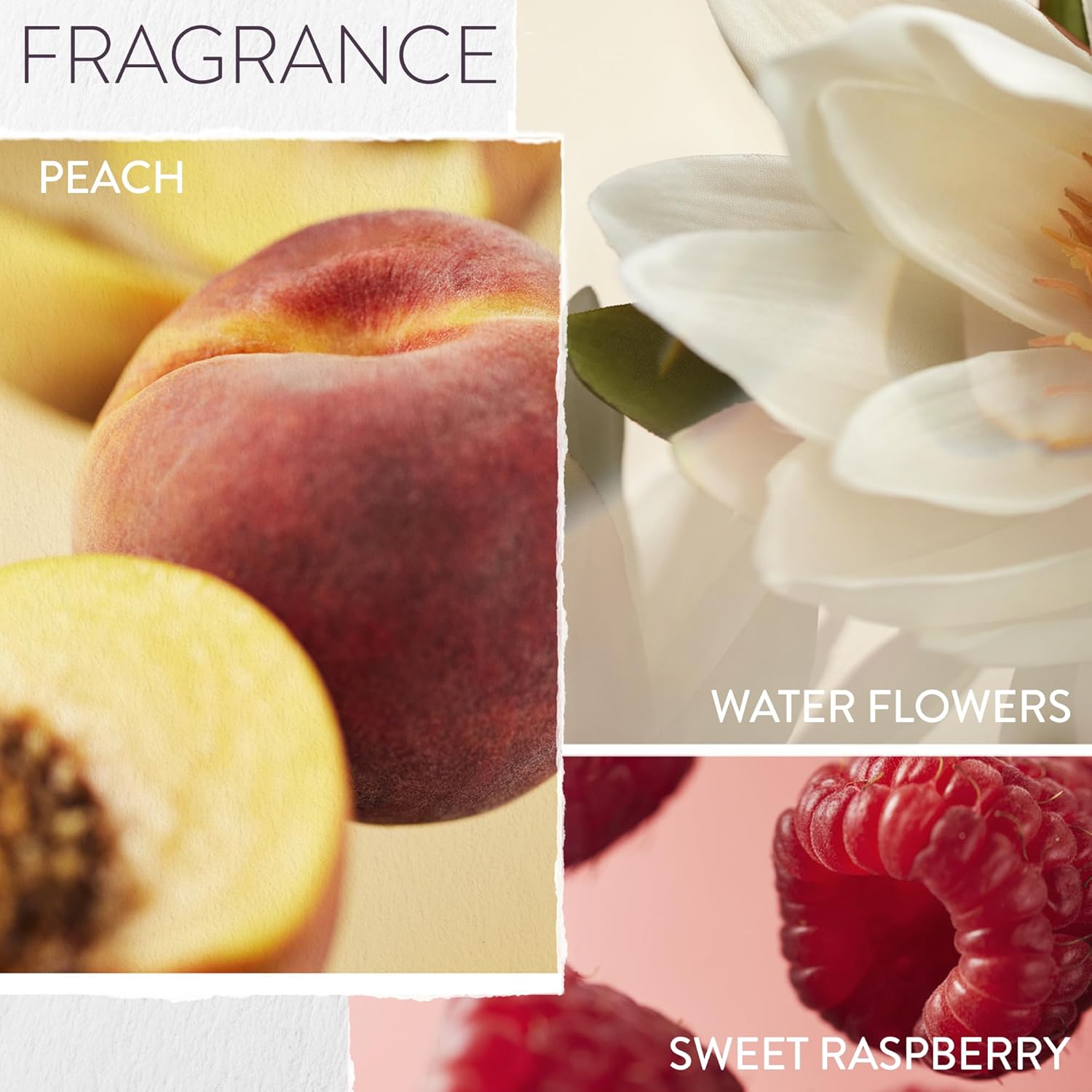 Pureology Strength Cure Shampoo - For Damaged or Color Treated Hair, Hair Strengthening & Prevents Breakage, Seals Split Ends, Vegan & Sulfate-Free - Image 7