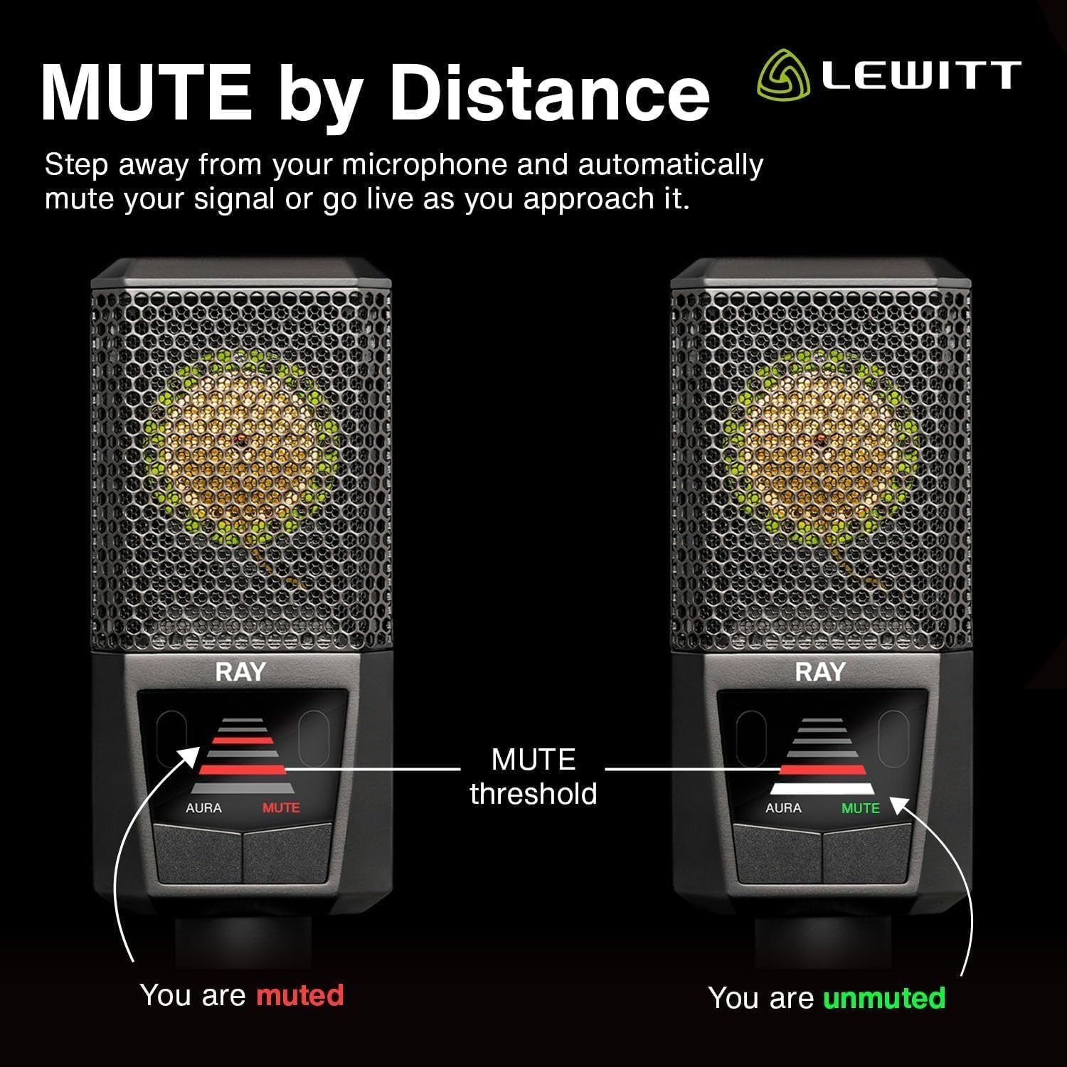 LEWITT RAY XLR Condenser Microphone With Auto - Image 5