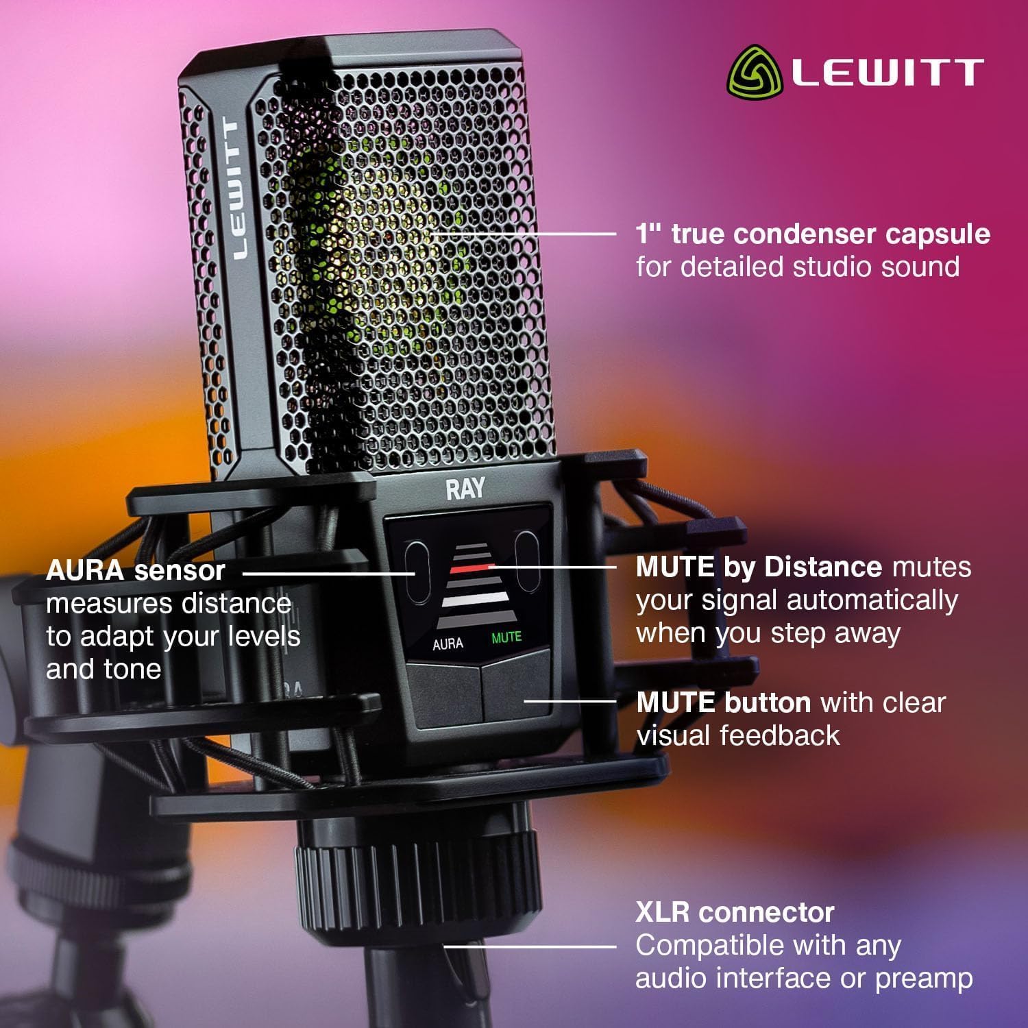 LEWITT RAY XLR Condenser Microphone With Auto - Image 8