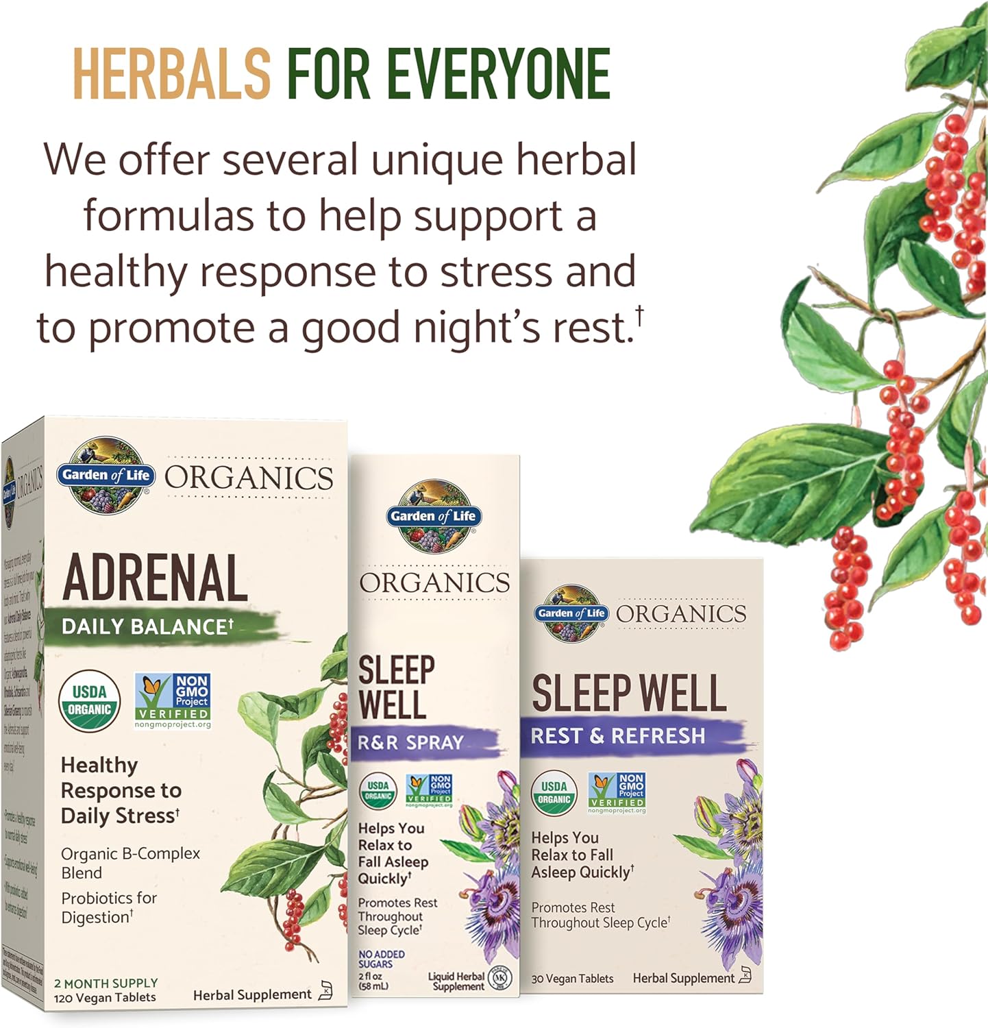 Garden of Life Organics Sleep Well Rest & Refresh Tablets with Lemon Balm, Green Tea Extract, Chamomile & Probiotics – Support for Restful Sleep & Relaxation, Non-GMO, Gluten-Free, Vegan, 30 Tablets - Image 9