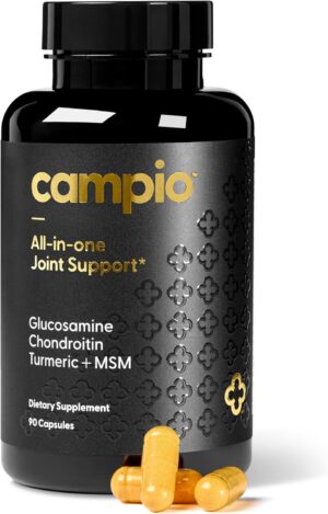 Glucosamine Chondroitin MSM All-in-...